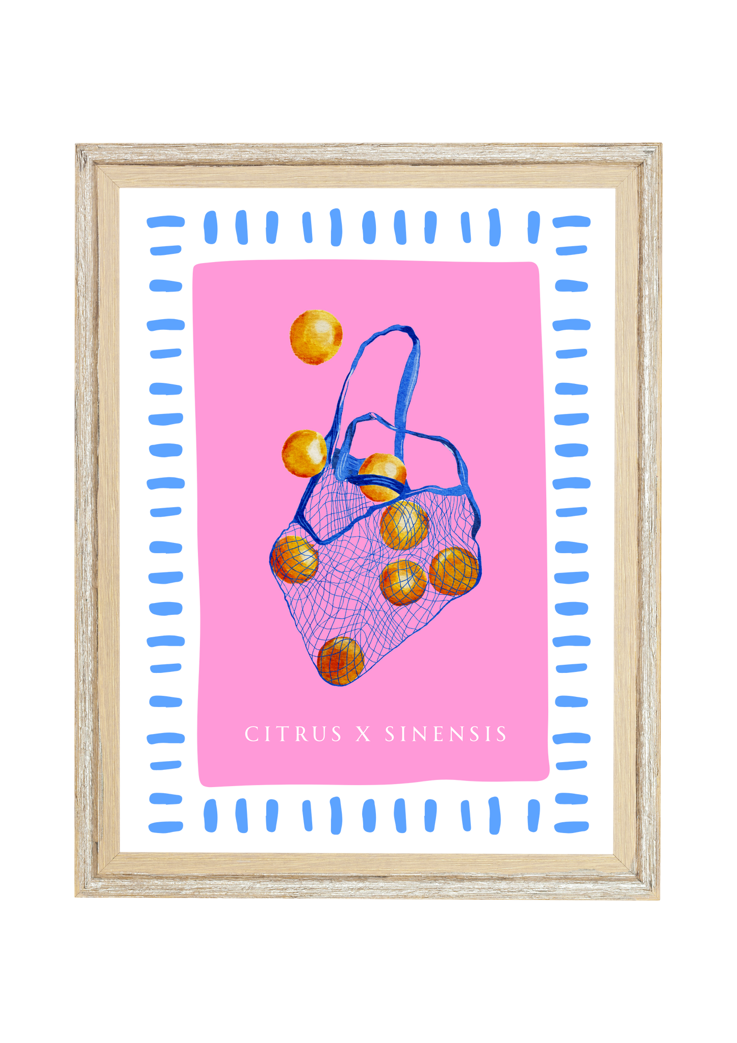 Citrus x Sinensis