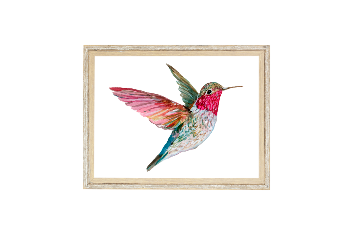 Hummingbird Watercolor Print