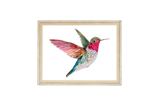 Hummingbird Watercolor Print