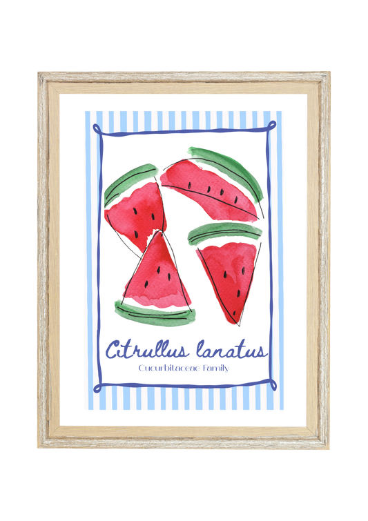 Citrullus Lanatus | Watermelon Print